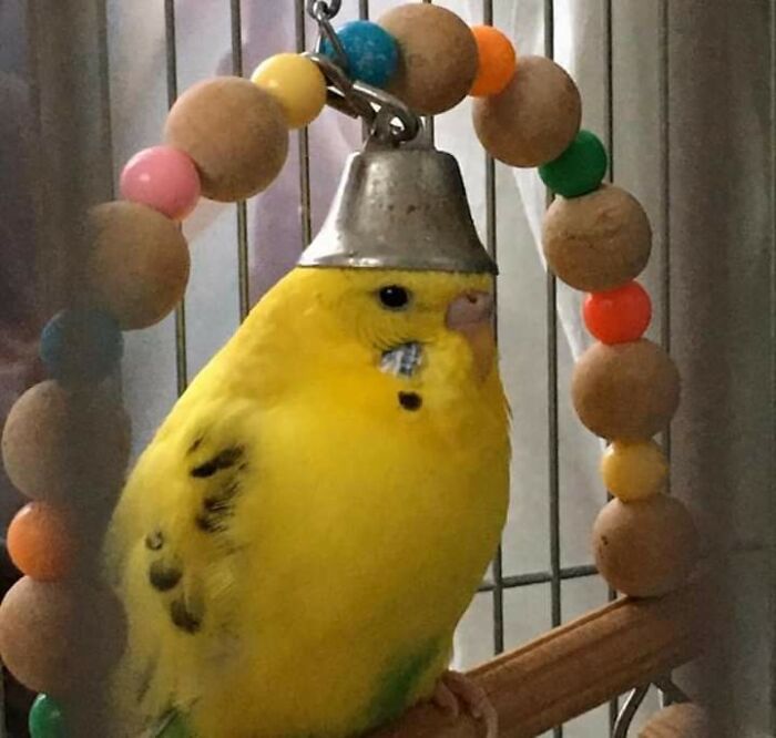 She's Wearing Her Crown