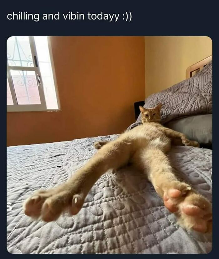 Funny-Uncomfortable-Memes