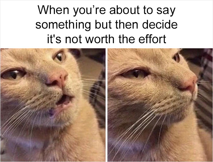 Funny-Daily-Introvert-Memes