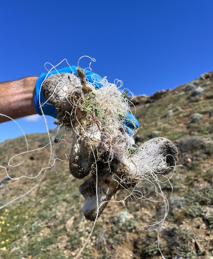 700kg Of Beach Trash Collected, And Counting (12 Pics)