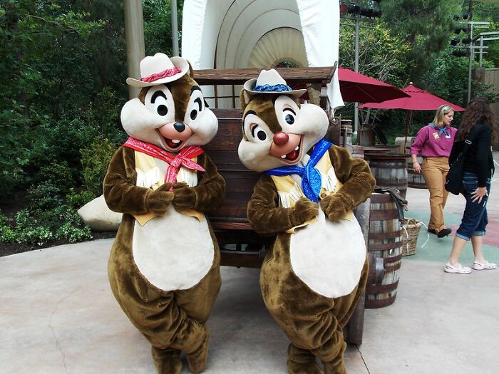 25 Of The Most Controversial Mysteries And Tales From Disney Park Staff And Visitors