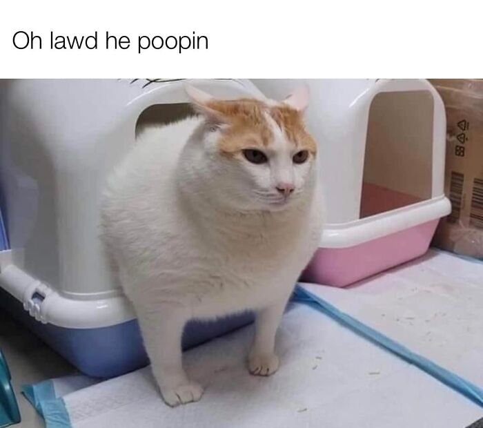 Funny-Uncomfortable-Memes