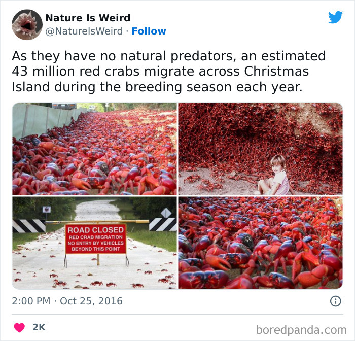 Weird-Interesting-Nature-Facts-Pics