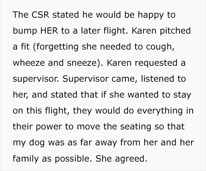 &ldquo;Karen, Of Course, Screeches For A Supervisor&rdquo;: Karen's Fake Allergy To Service Dog Backfires As The Airline Upgrades The Owner To First Class