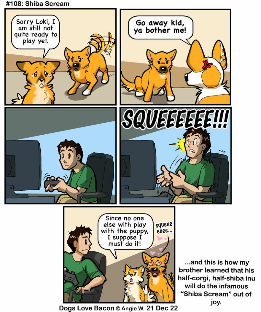 25 Comics That I Drew About The Lives Of My Rescue Dogs!