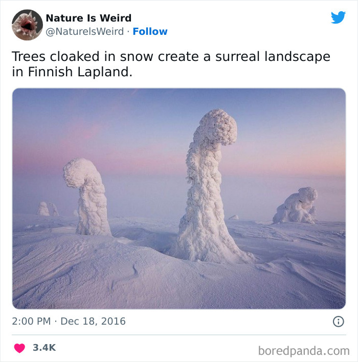 Weird-Interesting-Nature-Facts-Pics