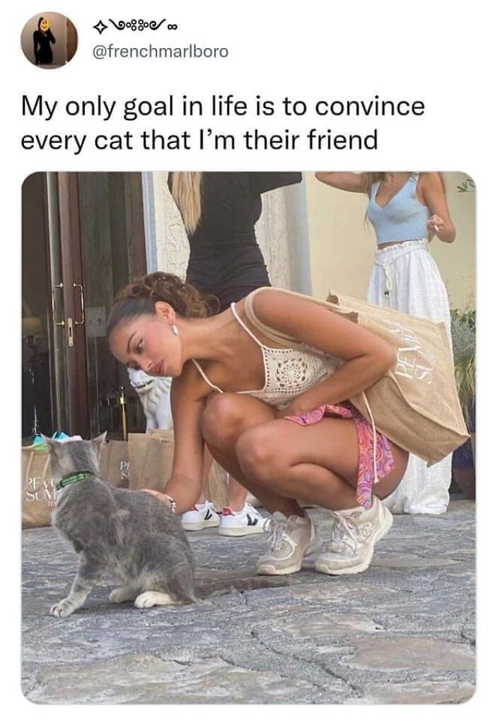 Funny-Uncomfortable-Memes