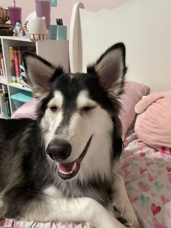 My Boy’s Silly Little Smile