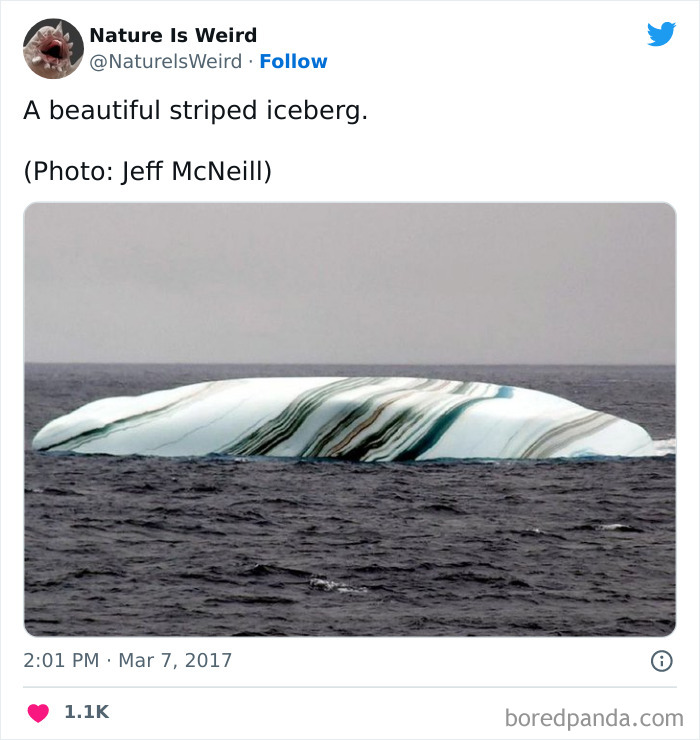 Weird-Interesting-Nature-Facts-Pics