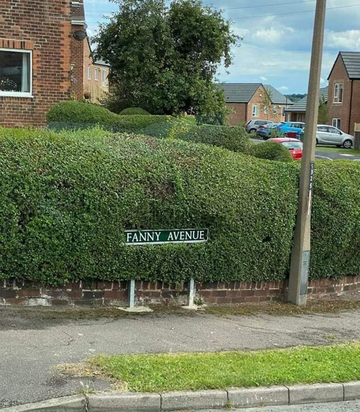 Terrible-Funny-Signs