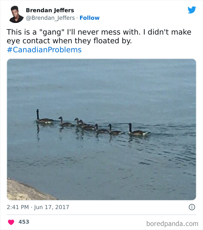 Funny-Canadian-Tweets