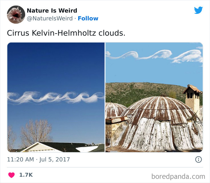 Weird-Interesting-Nature-Facts-Pics