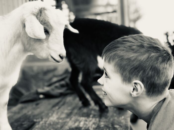 Tawny: A Moment Of Wonder