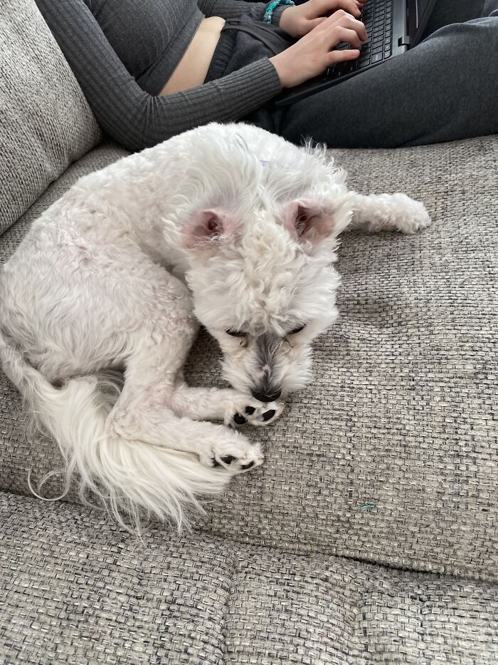 Here Are Some Photos Of My Pets To Hopefully Brighten Your Day (20 Pics)