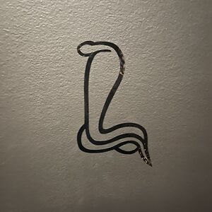 rachelmallorydunne avatar