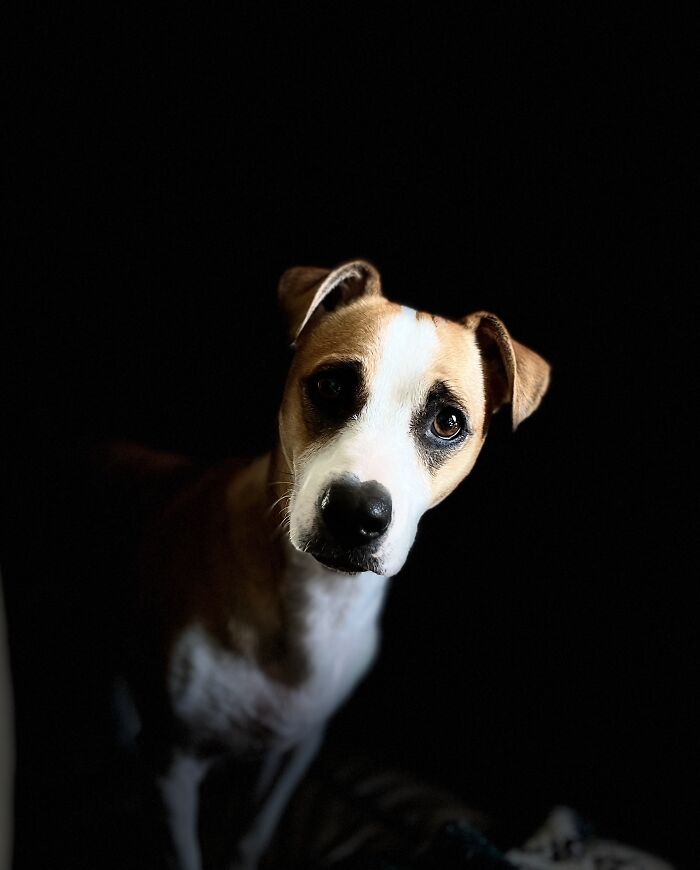 You’ve Got My Attention, Now What?