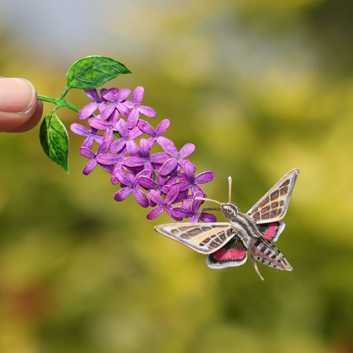 All The Beauty Of Nature Shown In Paper Cutouts By An Indian Artist