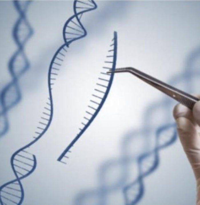 Didn’t Know You Could Pick Dna With Tweezers