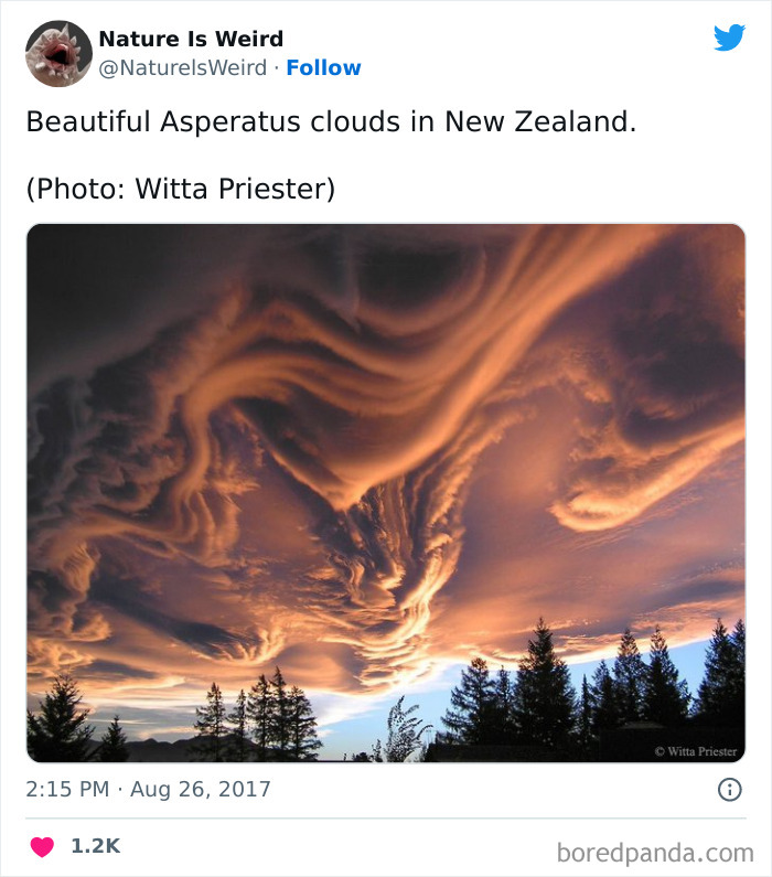 Weird-Interesting-Nature-Facts-Pics