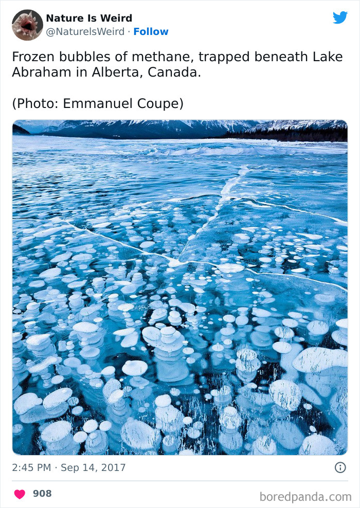 Weird-Interesting-Nature-Facts-Pics