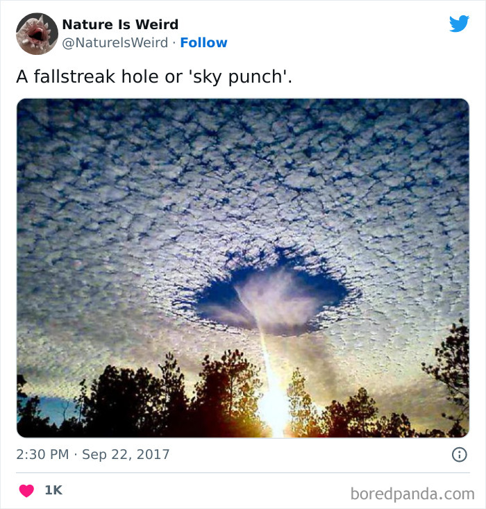 Weird-Interesting-Nature-Facts-Pics