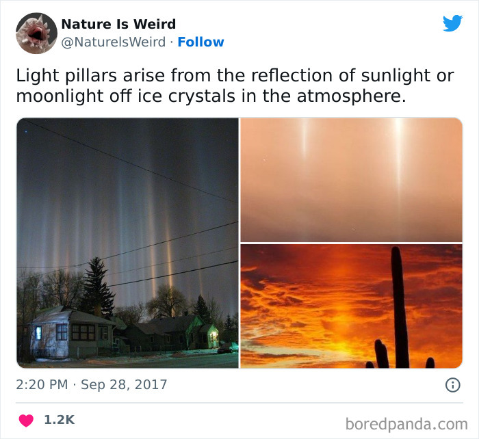 Weird-Interesting-Nature-Facts-Pics