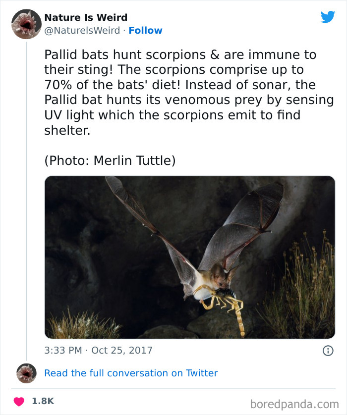 Weird-Interesting-Nature-Facts-Pics