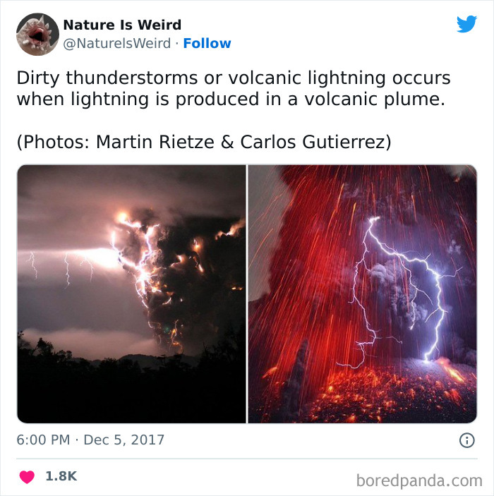 Weird-Interesting-Nature-Facts-Pics