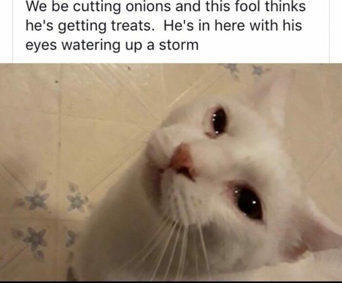 Funny-Uncomfortable-Memes