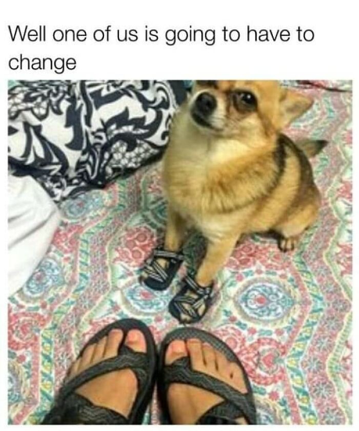 Funny-Uncomfortable-Memes