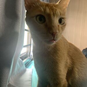 jaomgcichzjfbhaecv avatar