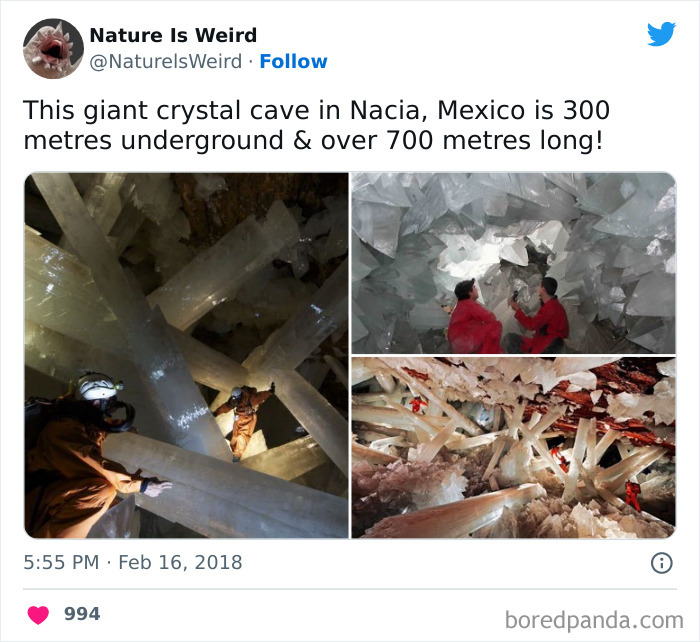 Weird-Interesting-Nature-Facts-Pics