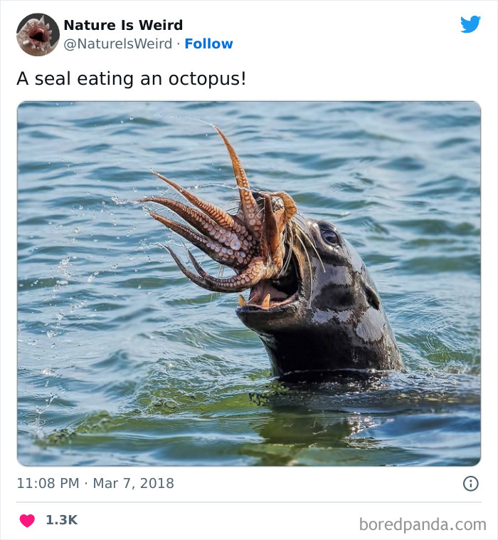 Weird-Interesting-Nature-Facts-Pics