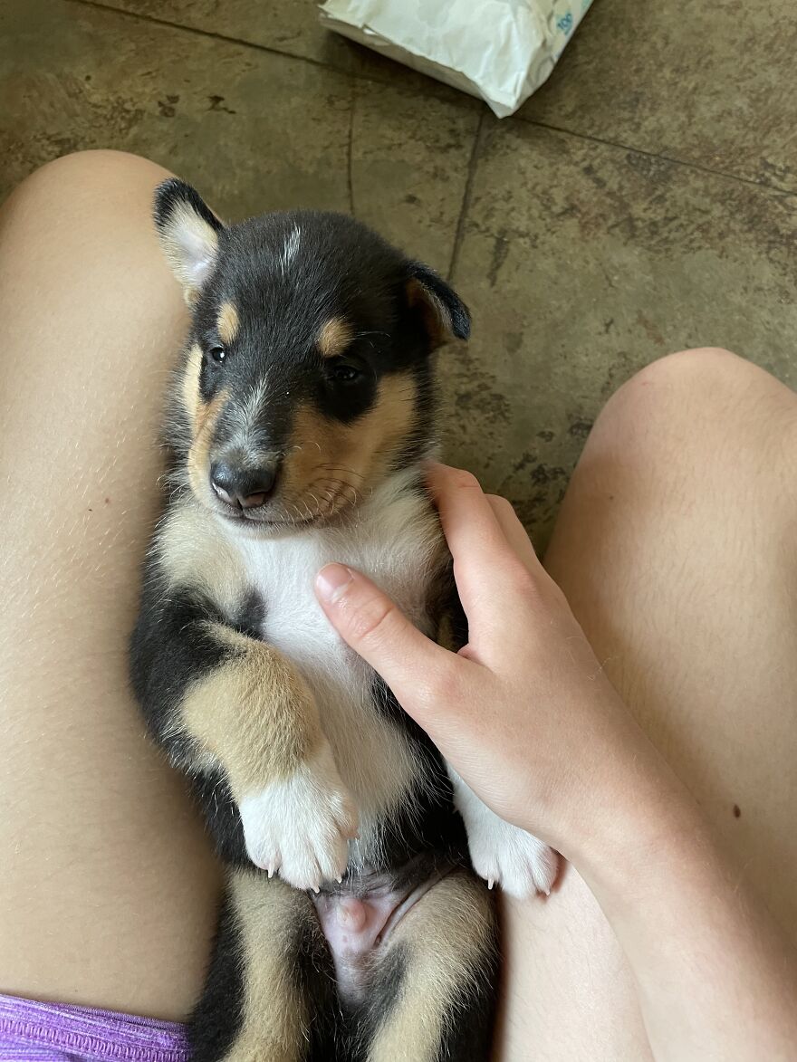 Hey Pandas! Here Are Some Photos Of My Summer Last Year On A Farm!