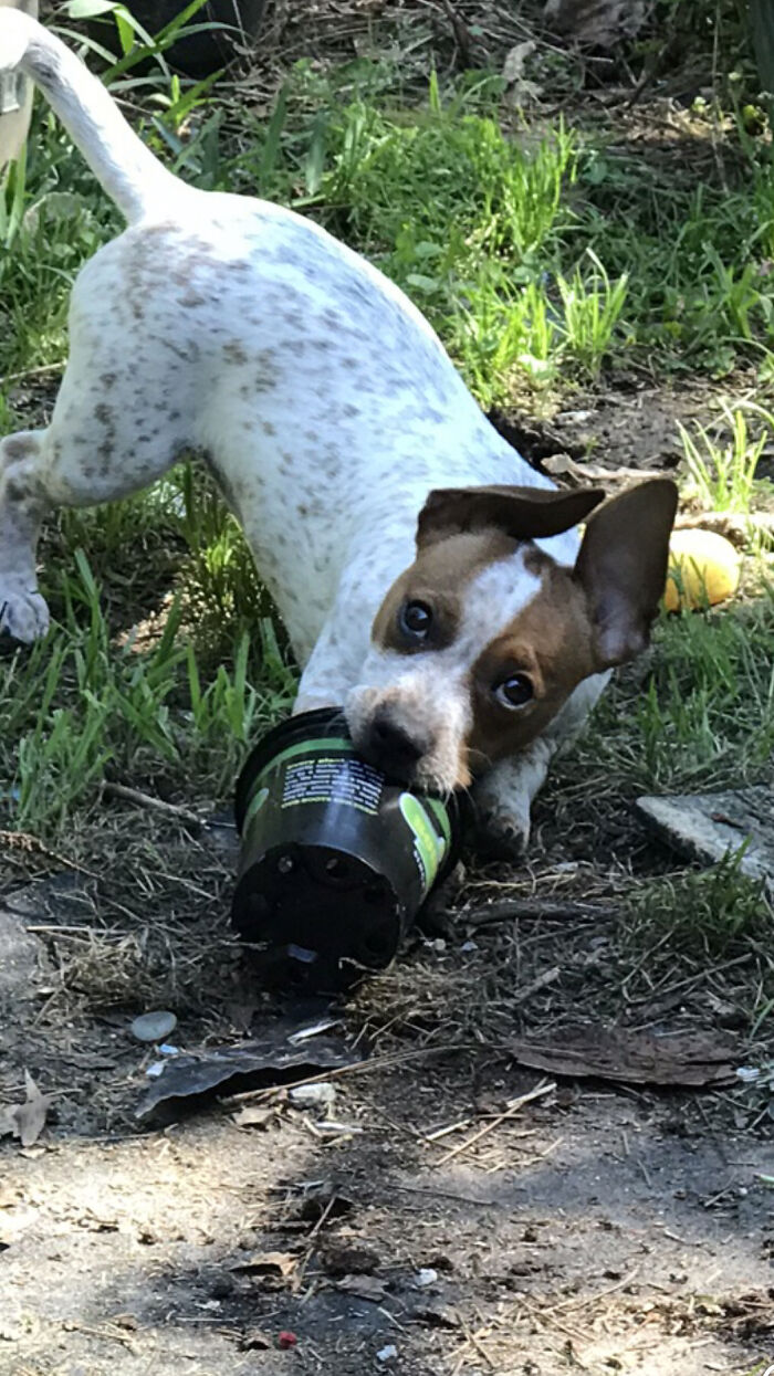 Helping With The Garden