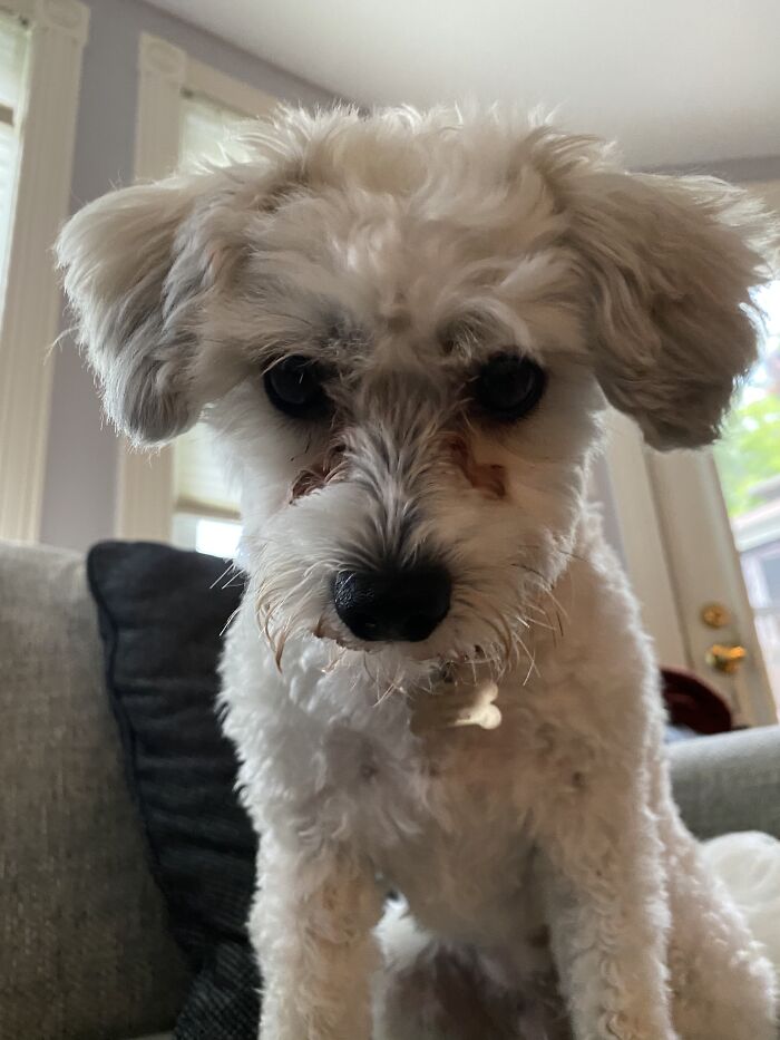 Here Are Some Photos Of My Pets To Hopefully Brighten Your Day (20 Pics)