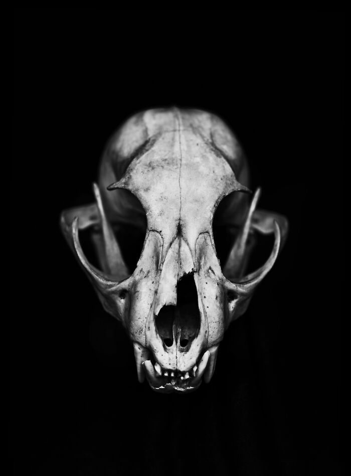 From "The Shadow Line" Series By Michal Korta ©