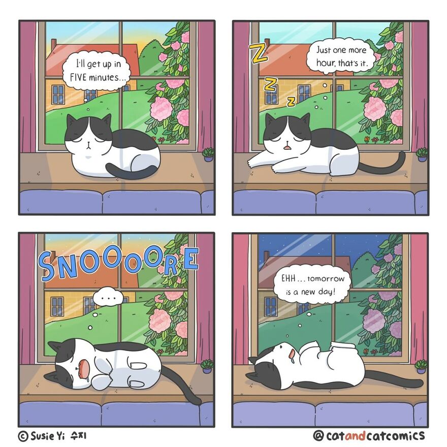Artist Illustrates Hilarious Comics About The Lives Of Cats