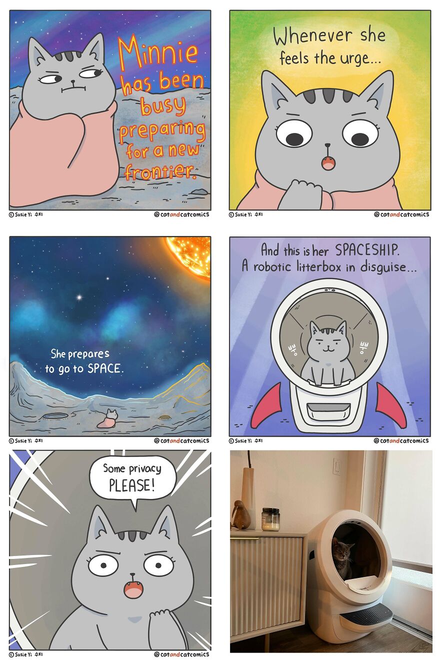 Artist Illustrates Hilarious Comics About The Lives Of Cats