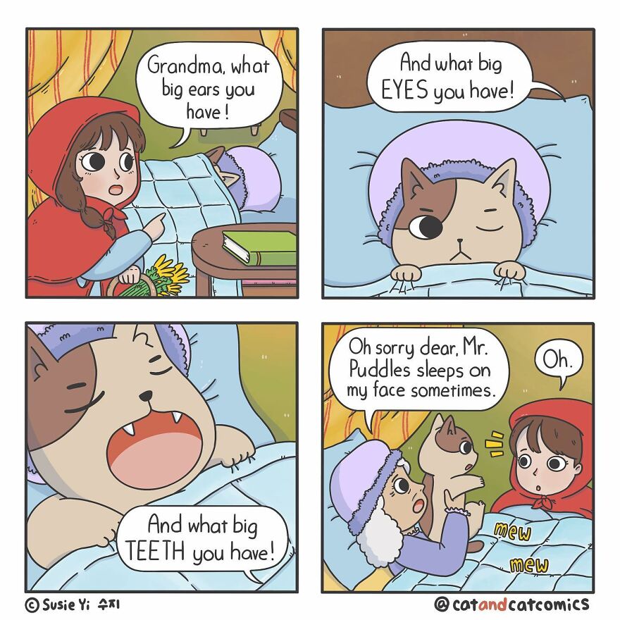 Artist Illustrates Hilarious Comics About The Lives Of Cats