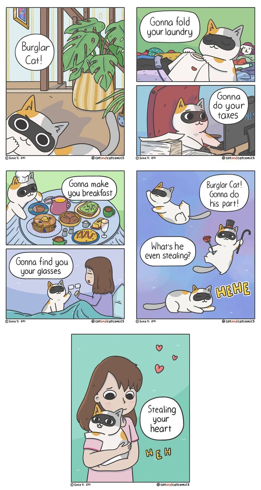 Artist Illustrates Hilarious Comics About The Lives Of Cats