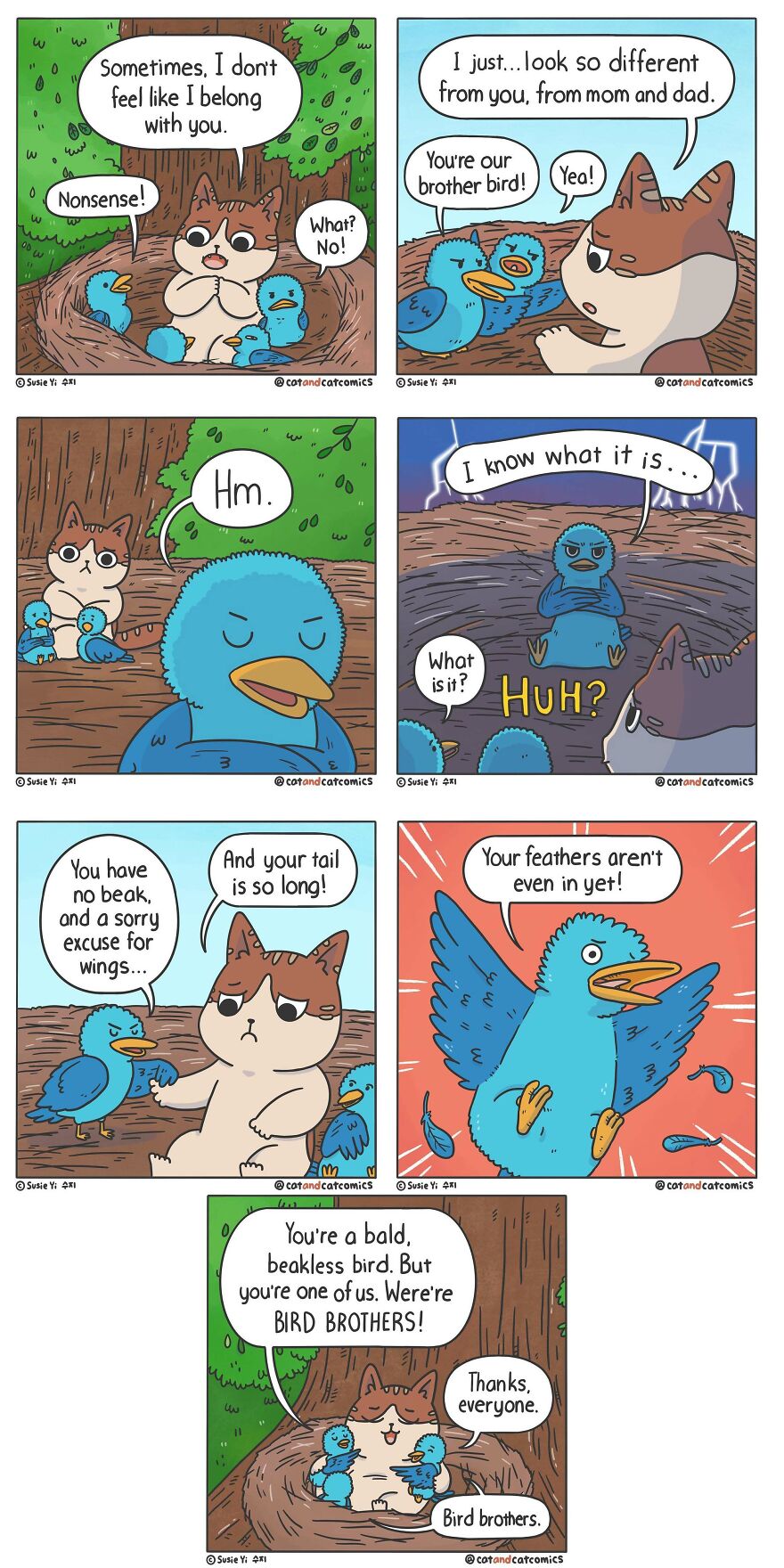 Artist Illustrates Hilarious Comics About The Lives Of Cats