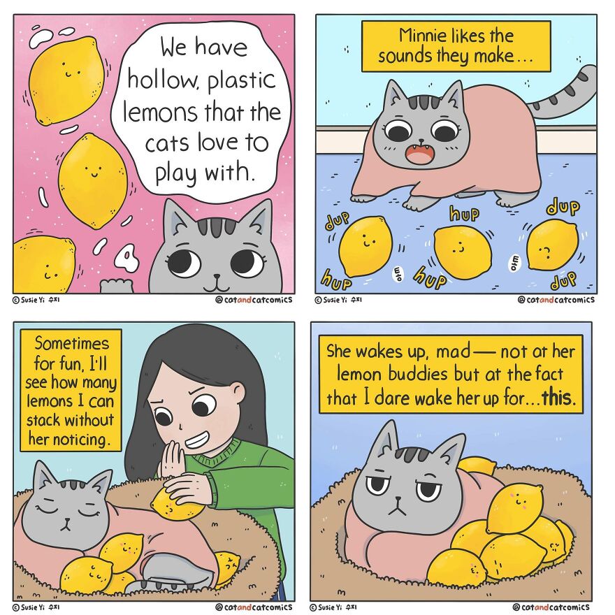Artist Illustrates Hilarious Comics About The Lives Of Cats