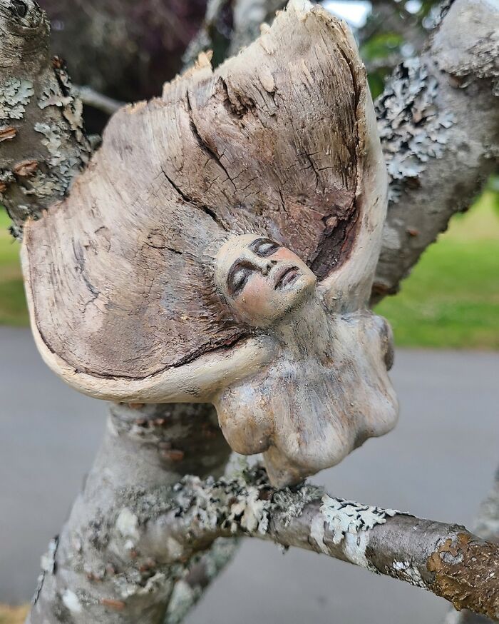 Artist Uses Driftwood To Create Stunning Sculptures (New Pics)