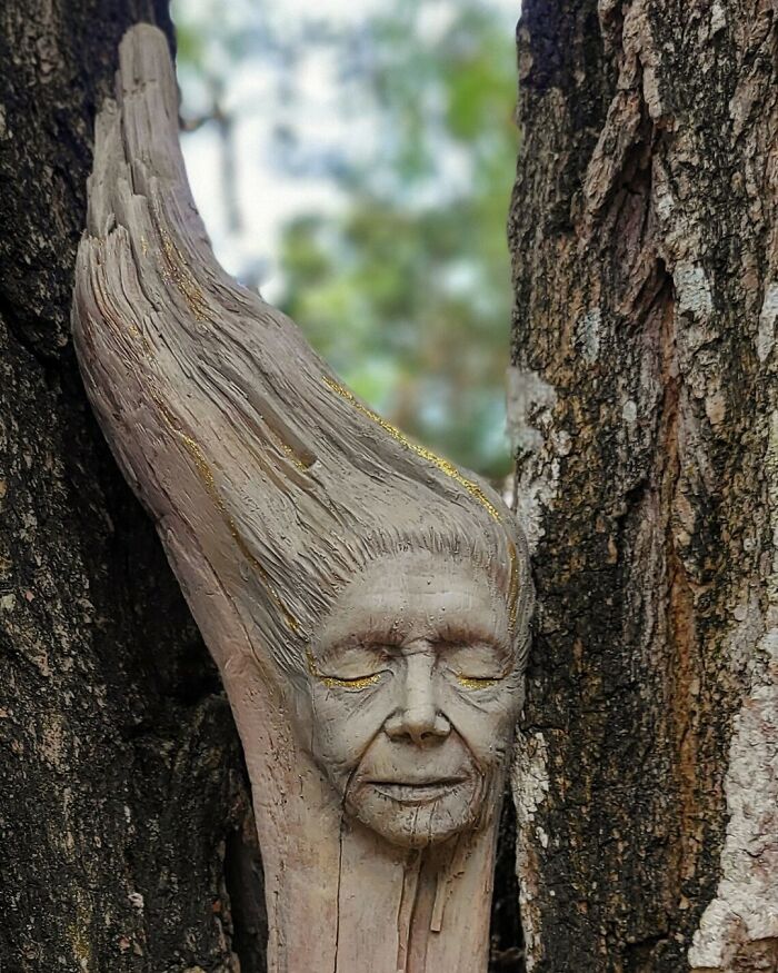 Artist Uses Driftwood To Create Stunning Sculptures (New Pics)