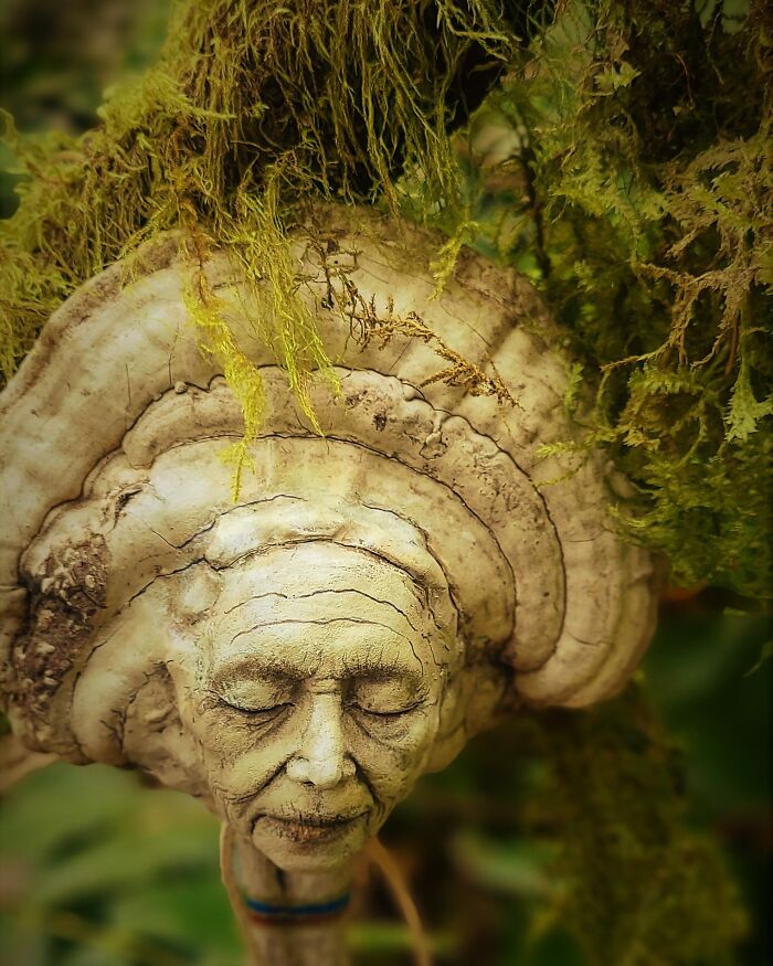 Artist Uses Driftwood To Create Stunning Sculptures (New Pics)