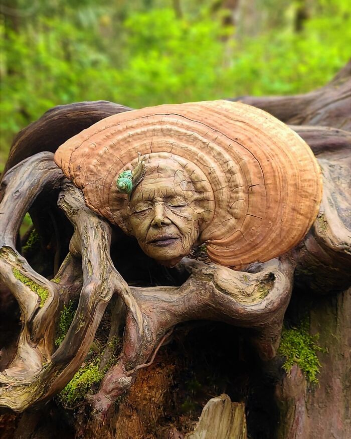 Artist Uses Driftwood To Create Stunning Sculptures (New Pics)