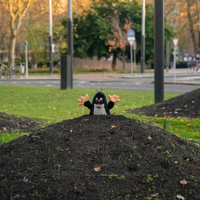 "I Make Interventions To Make People Smile": 30 Clever Interpretations Of Public Spaces Through Street Art By Frankey