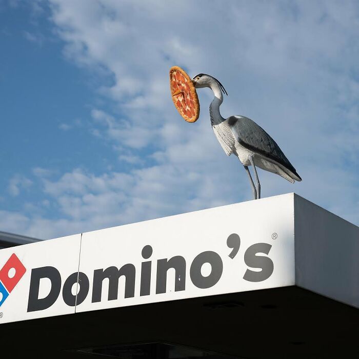 Artist Weekly Surprises Residents On The Streets Of Amsterdam With His Art