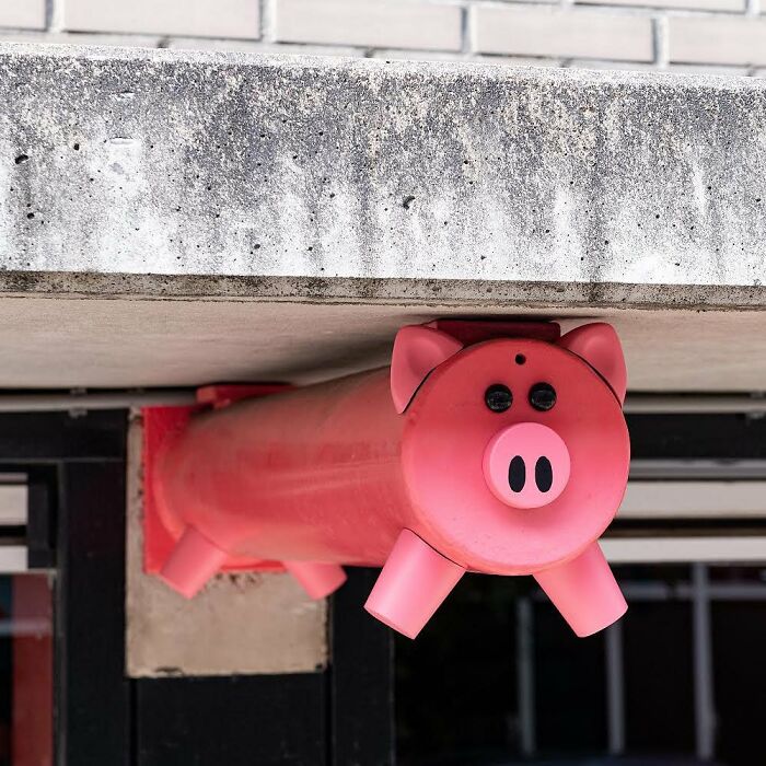 Artist Weekly Surprises Residents On The Streets Of Amsterdam With His Art